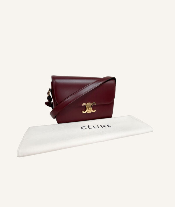 Celine Triomphe Bag