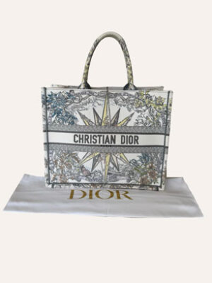 Christian Dior Book Tote Reve D'infini Embroidered Canvas