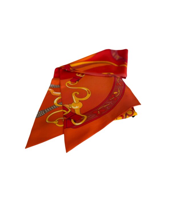Hermès Amazon Festival Silk Scarf