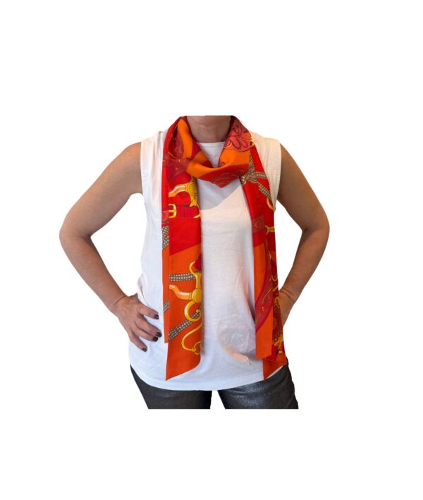 Hermès Amazon Festival Silk Scarf